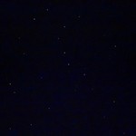 朱鞠内湖そばの花 -  北斗七星