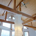 朱鞠内湖そばの花 -  