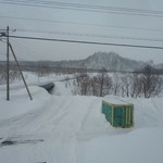 朱鞠内湖そばの花 -  