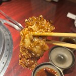 銀座焼肉 seigou - 