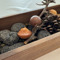 リュミエール - 