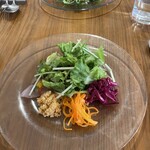 ビストロ ラ テラコッタ - 4種の前菜とサラダ