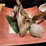 近畿大学水産研究所 銀座店 - 