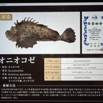 近畿大学水産研究所 - 