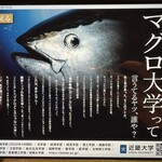 近畿大学水産研究所 - 