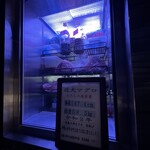 近畿大学水産研究所 - 