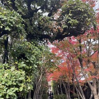 おしょくじ處 今 - 