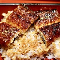 しら河 浄心本店 - 上うな重