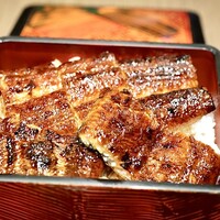 しら河 浄心本店 - 上うな重