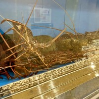 中納言 大阪駅前第3ビル店 - 