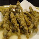 やぶいそ -  どじょう