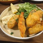 マチェレリーアディタケウチ - 