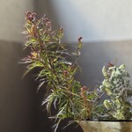 ORAND - 店内の様子