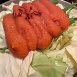 博多 もつ楽 - 