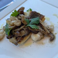 イリエスケープ - 