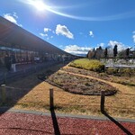 Shinshu Miso Ramen Kaetsu