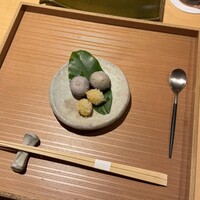鳥匠いし井ひな - 
