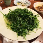 知音食堂 -  豆苗炒め
