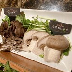 Shangri-La's secret - 