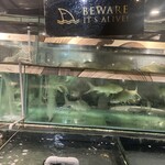 South Sea Seafood - 水槽