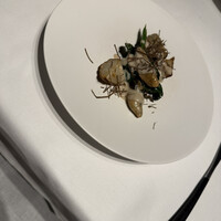 イル・チェントリーノ - 