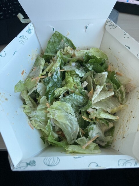 saladice photo 3