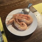 タボラ カルダ ミヤケ - 