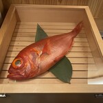 金目鯛の佐藤 - 