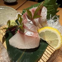 大山鶏と鮮魚 居酒屋 まいか - 