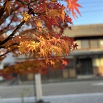 カフェ 桃花流水 - 