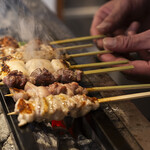 炭焼き 山鳥 - 
