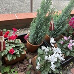 スパゲティハウス HIROSHI - 