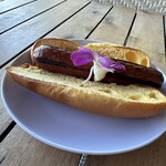 Barefoot Beach Cafe - 