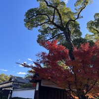 ガーデンレストラン徳川園 - 