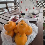 農園cafe苺果 - みかん1キロ300円