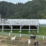 農園cafe苺果 - のどかな場所でしょ？