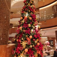 中国料理 彩龍 - 