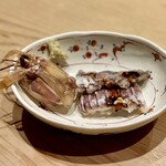 すしやのたい悟 - 北海道特大シャコつまみ（じゅんさんご注文）