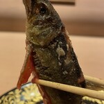 新日本料理おぶね - 