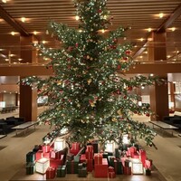 中国料理 桃花林 - オークラホテルのロビーのクリスマスツリー