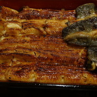 うなぎ割烹 大江戸 - 極太の三本いかだ