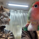 天ぷらとワイン 小島 - 