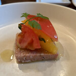 モンプチコションローズ - 