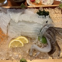 赤坂 藤田 - 