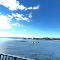 THE HARBOR TERRACE Restaurant - 