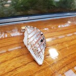 本店 加賀 彌助 - 