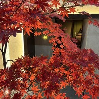 鮨 まるふく - 
