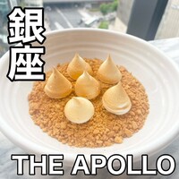 THE APOLLO - 