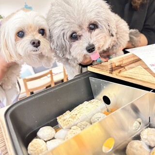 愛犬と一緒に楽しめるドッグメニュー♪体温まる「おでん」も◎