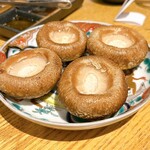 関本恭平 - しいたけ